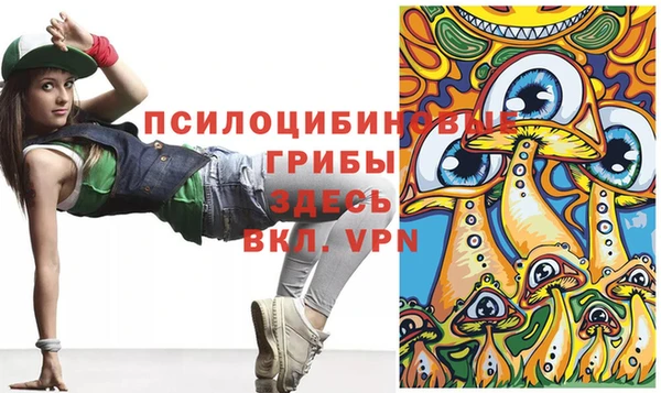ALPHA PVP Куйбышев