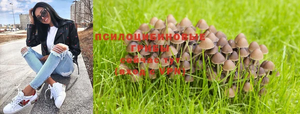 мдпв Ладушкин