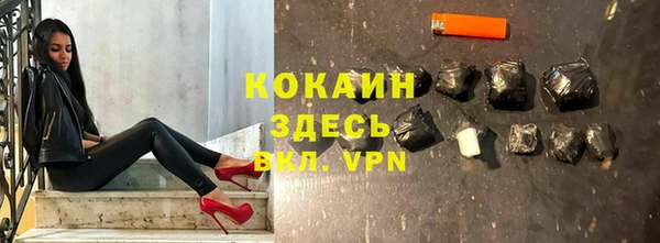 мдпв Ладушкин