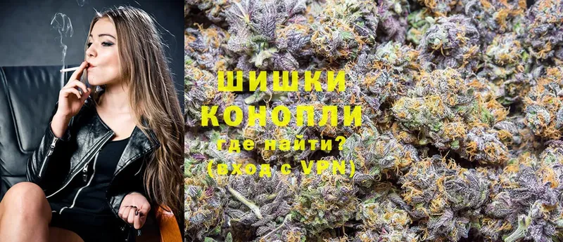 Бошки Шишки SATIVA & INDICA  продажа наркотиков  МЕГА tor  Щёкино 